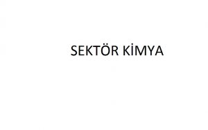 SEKTÖR KİMYA